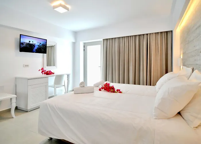 Apollon Windmill Boutique - Adults Only 4*